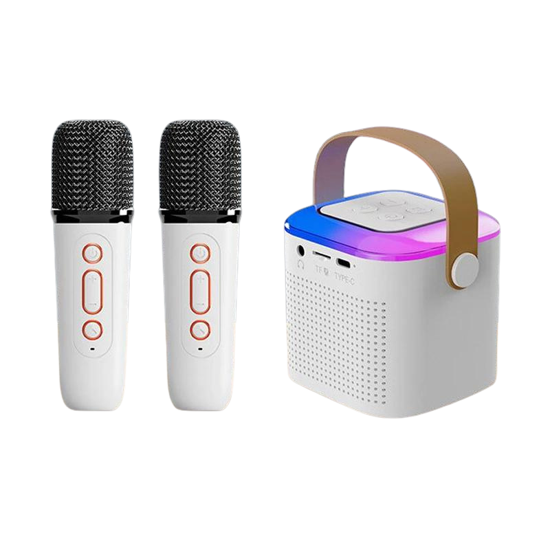 Caixa Karaoke Portátil sem fio com um ou dois microfones, Bluetooth PA alto-falante, KTV DSP sistema, HIFI, som estéreo, RGB luzes LED coloridas