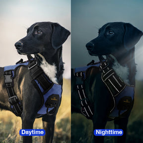 Colete Peitoral MASBRILL Arnês para cães sem tração de nylon reflexivo ajustável médio e grande - BELANGAR
