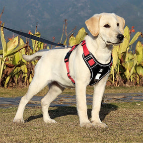 Coleira refletiva Peitoral de Segurança Ajustável para cães de Médio e Grande porte - BELANGAR